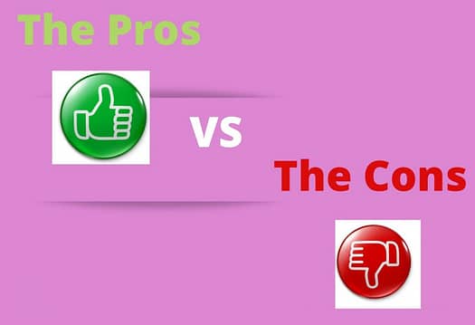 Checks On Repeat Review Pros and Cons